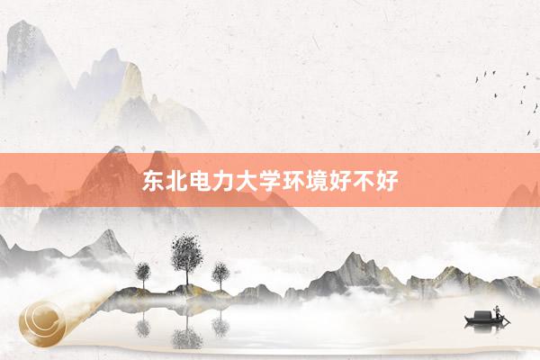 东北电力大学环境好不好